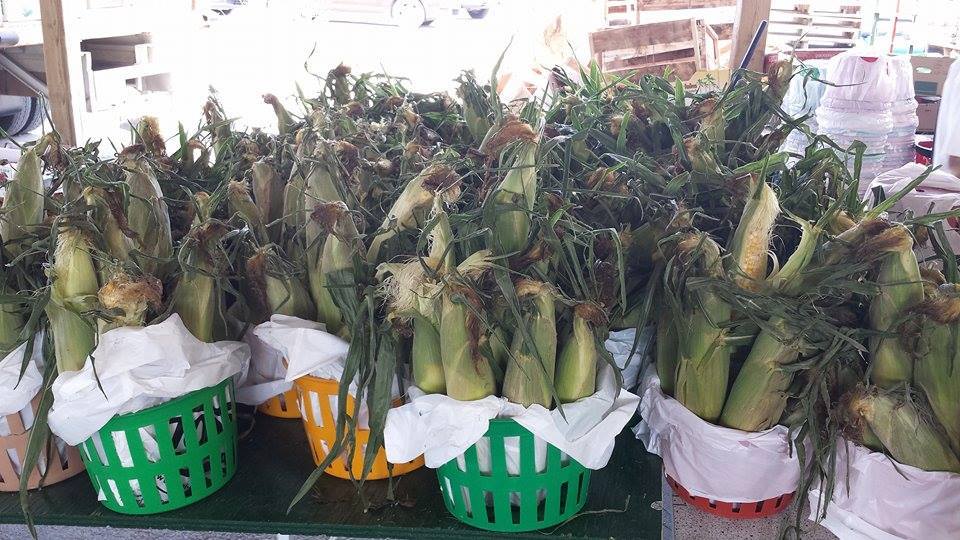 Image du commmerce Fruits et Légumes Cataphard